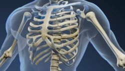 osteopatia estructural valencia